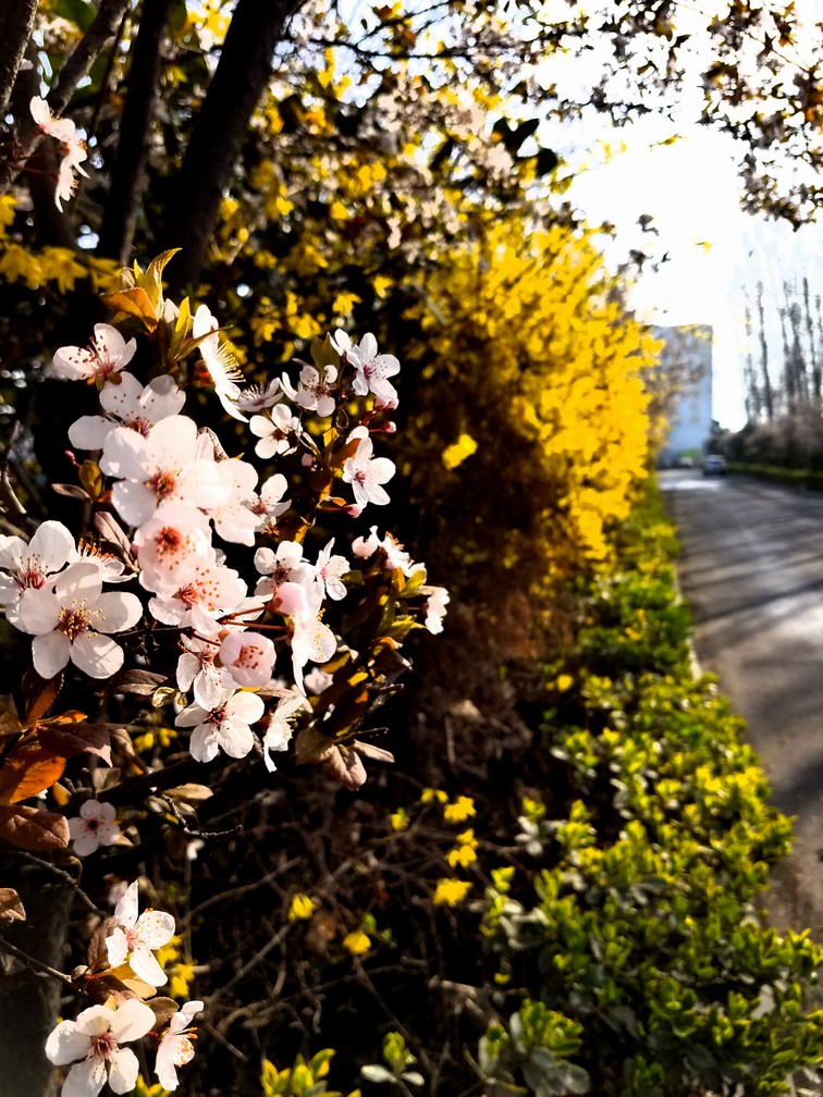 {С 20170323_084201.jpg