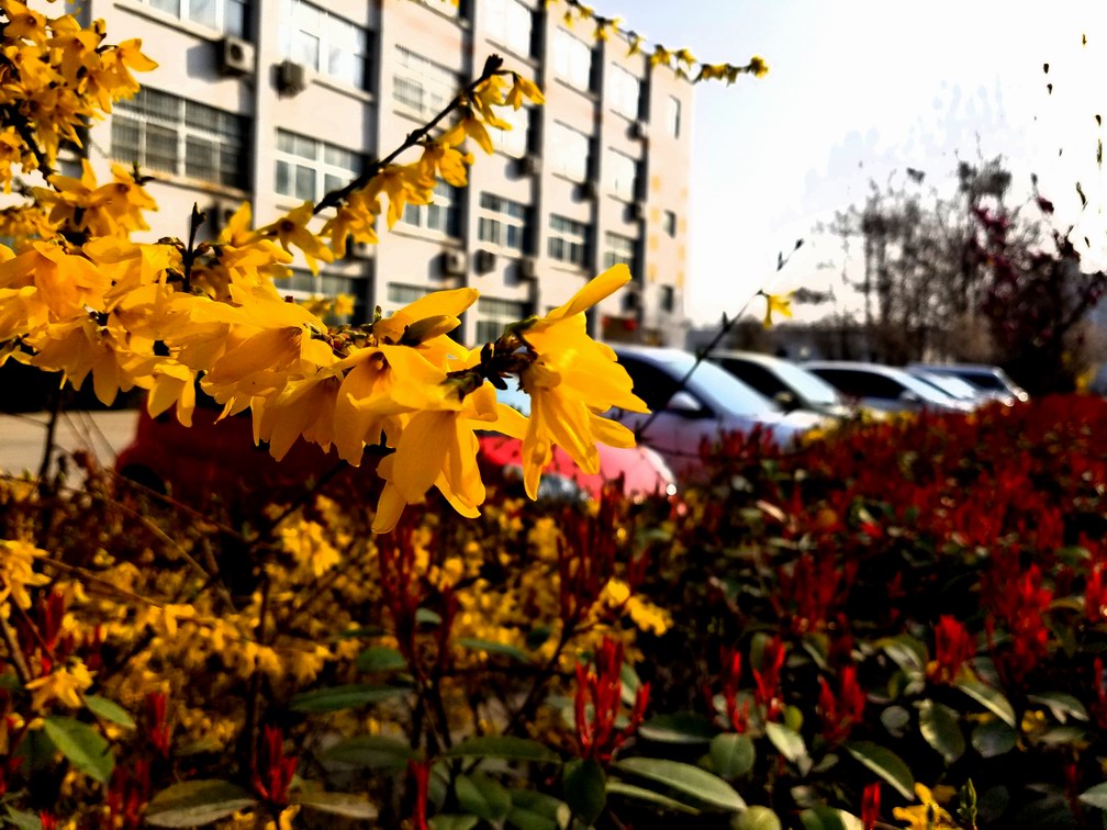 {С 20170323_084520.jpg